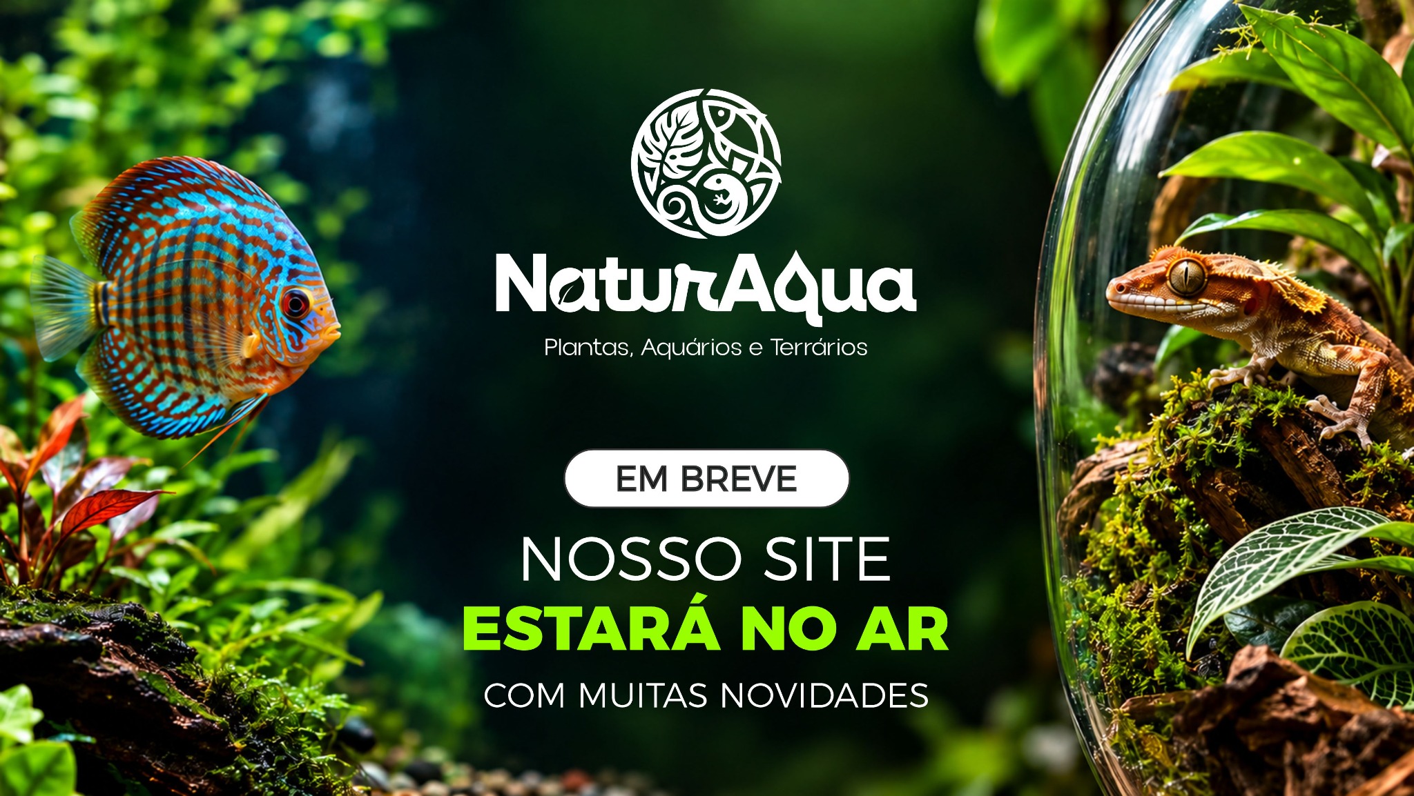 NaturaAqua — Plantas, Aquários e Terrários. Em breve, nosso site estará no ar com muitas novidades.